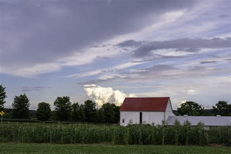 Red Barn With Silo And A Field Of Corn Stock Photo Image Of Crop