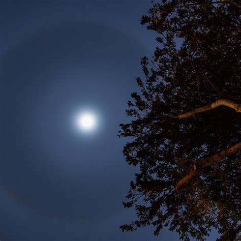 Todays Image Earthsky Moon Eclipse Blue Moon Before Sunrise