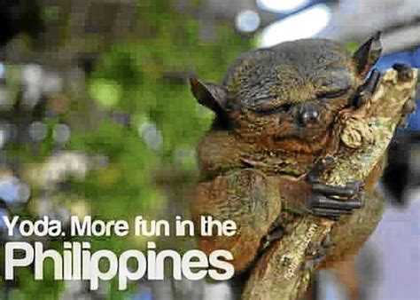 Memes More Fun In The Philippines Lifestyleq