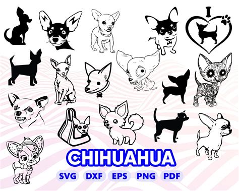CHIHUAHUA SVG dog svg puppy svg cartoonchihuahua cute | Etsy (With