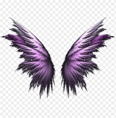 Angel Wings Png Purple Angel Wings Png Image With Transparent
