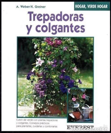 Decoracion plantas, jardines colgantes, balcon. Plantas Balcon Colgantes : Plantas Colgantes Eleccion De ...
