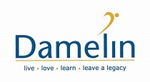 Damelin Online Courses South Africa « How To Make Money from Home in ...