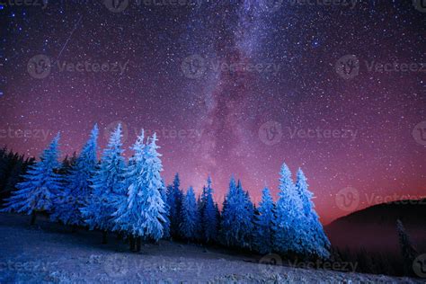 Magic Tree In Starry Winter Night 7028457 Stock Photo At Vecteezy