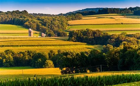 Cornfield And Views Of Rolling Hills And Farms In Southern York — Stock