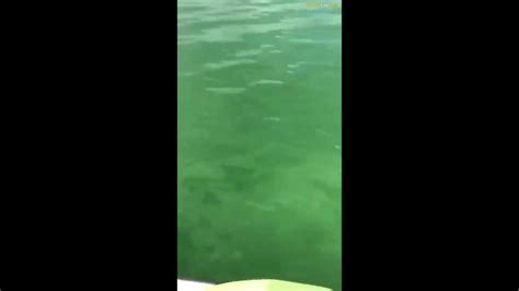 German Girlfriend Fucking On A Boat Eporner