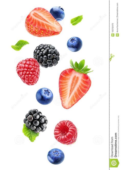Isolated Falling Berries Stock Photo Image Of Ingredient 103702470