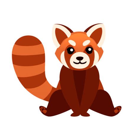 1300 Red Panda Illustrations Royalty Free Vector Graphics And Clip Art