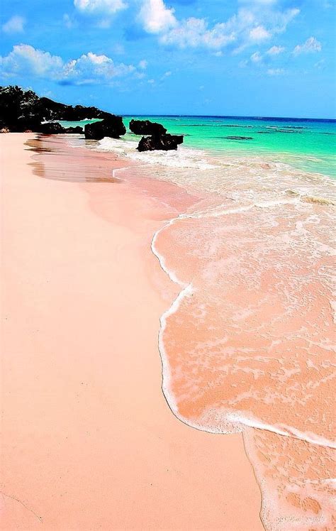 the best beaches in bermuda visiting pretty pink sand beaches of your my xxx hot girl