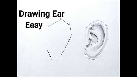 How To Draw Ear Easy Step By Step Ear Drawing For Beginners Tutorial