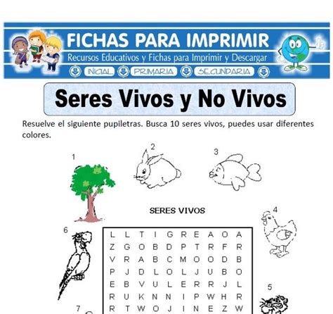 Actividad De Los Seres Vivos Para Primero De Primaria Images