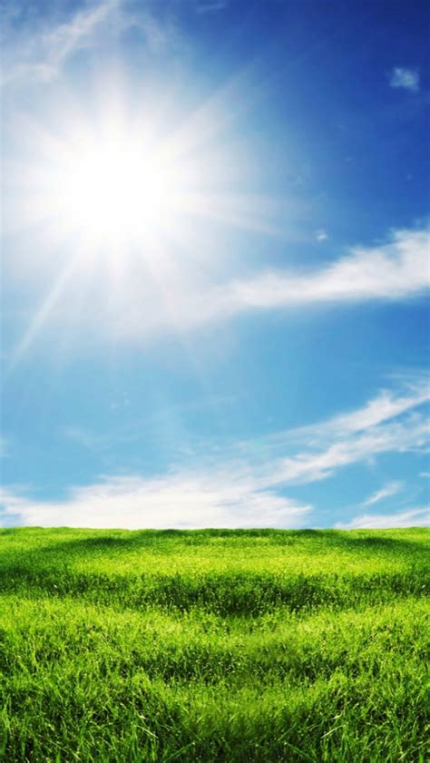Free Download Bright Sunny Day Wallpaper Hd Sunshines Bright Wallpaper