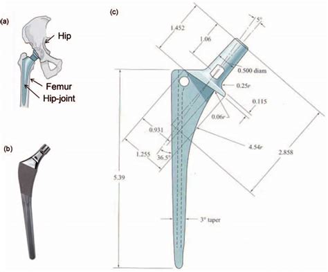 Total Hip Replacement Joint And Design Dimensions A A Total Hip