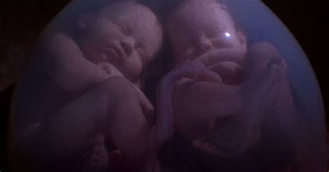watch video of twins inside their mother s womb world news