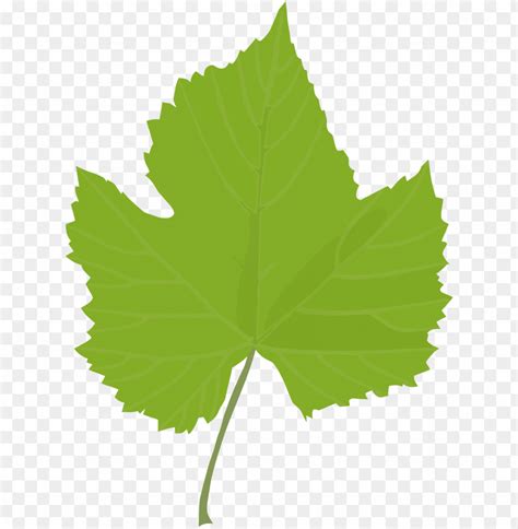 Free Grape Leaf Cliparts Download Free Grape Leaf Cliparts Png Images