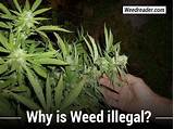 Images of Why Is Marijuana Illegal