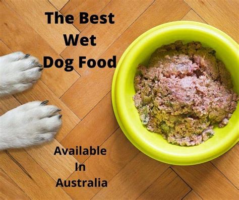 Cat food reviews for 3000+ wet and dry cat food products from 180+ brands. Best Wet Dog Food Australia (2021 Buyer's Guide ...
