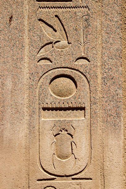 Cartouche Of Thutmose Iii Ancient Egyptian Symbols Ancient Egyptian Hieroglyphics Egyptian