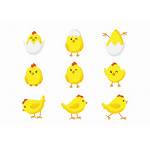 Chick Easter Vector Icons Clipart Chickens Vecteezy