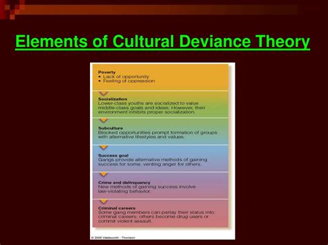 Ppt Chapter 6 Social Structure Theory Powerpoint
