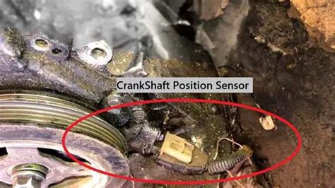 Where Is The Crankshaft Position Sensor Located On Chev Diy My Xxx