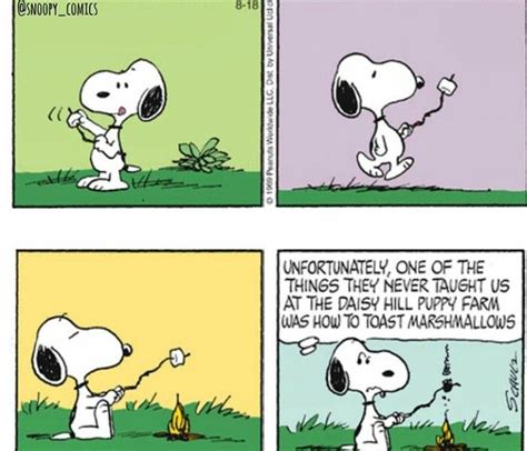 Pin By Christie Patterson On Peanuts Gang Snoopy Love Snoopy