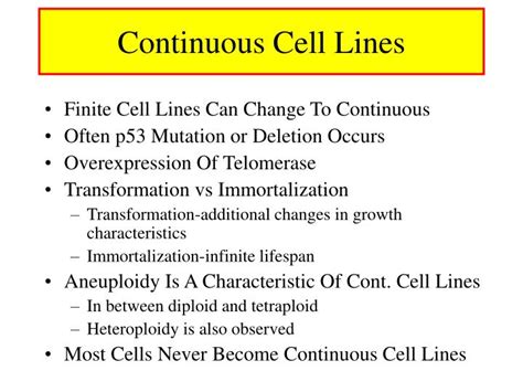 We did not find results for: PPT - Biology Of Cultured Cells PowerPoint Presentation ...