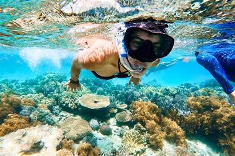 How Far Is The Great Barrier Reef From The Shore Cairns Tours