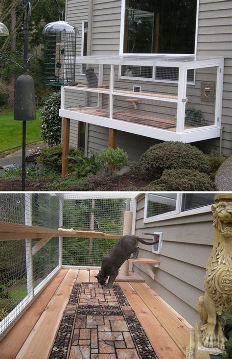 Cat Patios Known As Catios Are The Latest Way To Spoil Your Beloved