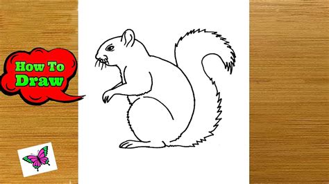 How To Draw Squirrel Step By Step Easy Draw Squirrel For Beginners