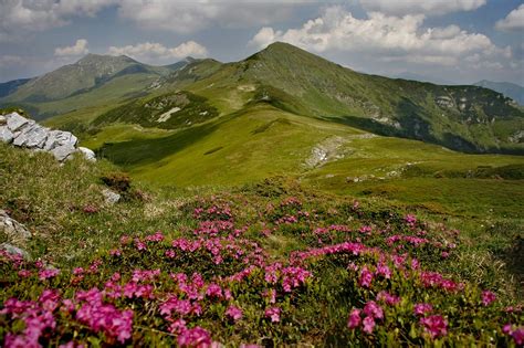 Descopera Cele Mai Spectaculoase Parcuri Nationale Din Romania