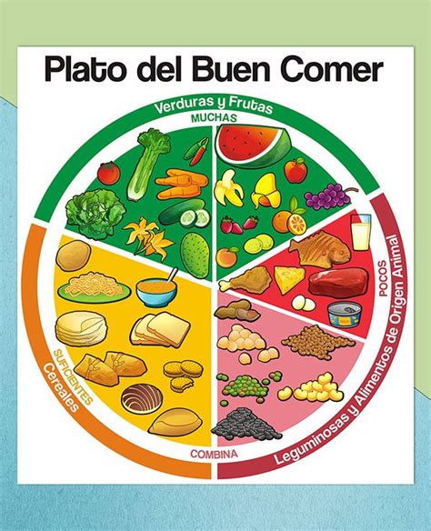 El Plato Del Buen Comer Frutas Govir Images