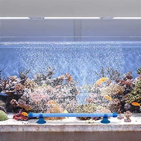 Air Bubbler For Fish Tank Davids Aquarium Advice