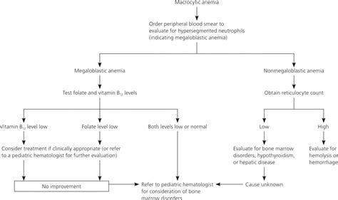 Iron Deficiency And Other Types Of Anemia In Infants And Children Aafp