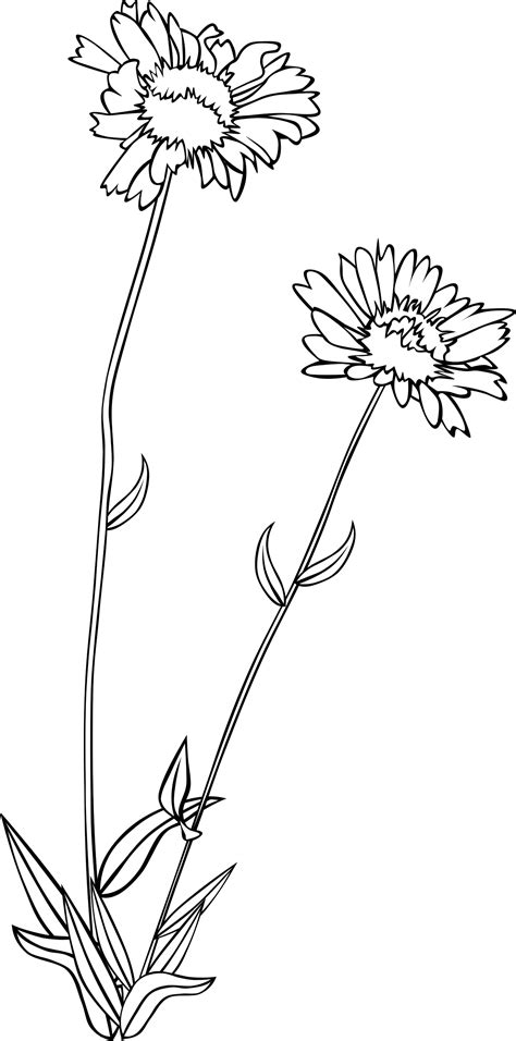 Free 199 Simple Wildflower Svg Free Svg Png Eps Dxf File