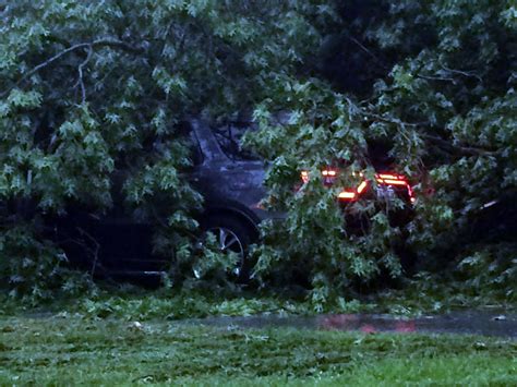 Storms Knock Out Power Down Trees