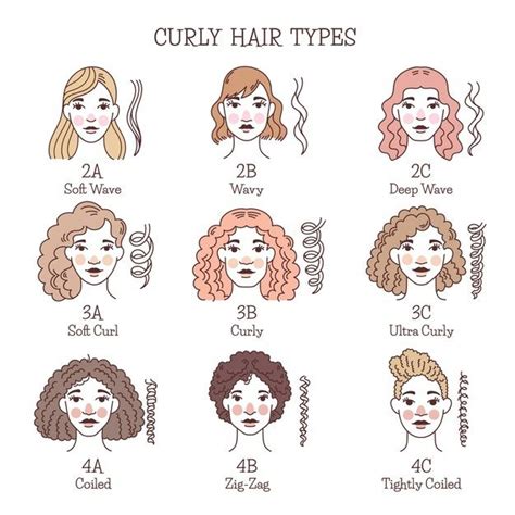 Free Vector Hand Drawn Curly Hair Types Set Curly Hair Types