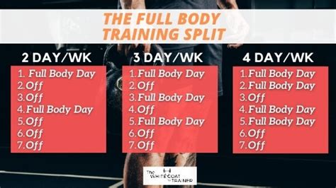 The Best Workout Splits Of All Time 2 3 And 4 Day Templates The