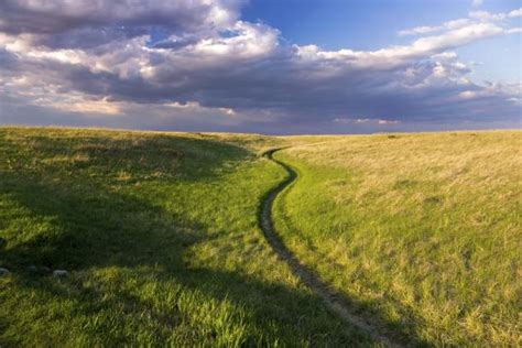 Alberta Prairie Stock Photos Pictures And Royalty Free Images Istock