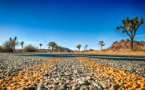 Hd Wallpaper Desert Road Joshua Tree National Park Is A Protected Area