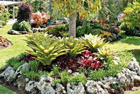 How To Plan A Tropical Garden Australian Handyman Magazine Tropical
