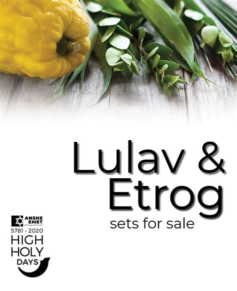 Lulav And Etrog Sets For Sale Anshe Emet Synagogue