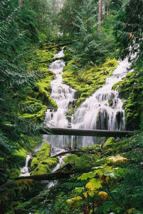 Photo Of Proxy Falls Three Sisters Wilderness Mckenzie Pass Hwy Oregon