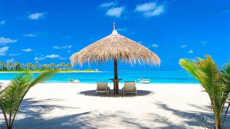 Sunbeds Under A Palapa In Aruba Backiee