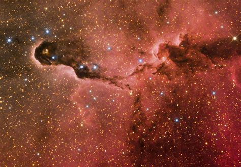 Ic 1396 Emission Nebula In Cepheus