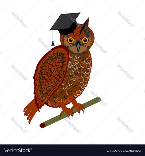 An Owl Wearing A Graduation Cap Royalty Free Vector Image