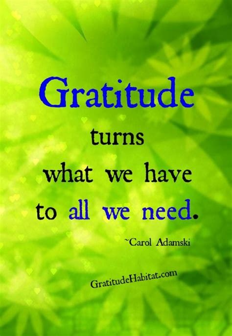 Gratitude Turns What We Have To All We Need What Are You Grateful For