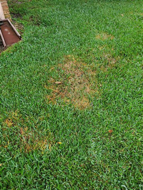 What Are These Brown Spots In My Lawn