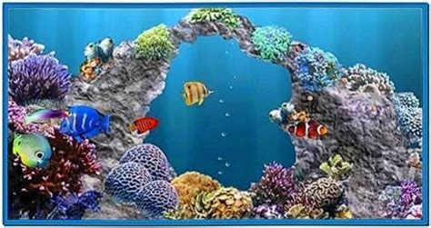 Live 3d Marine Aquarium Screensaver Download Screensaversbiz