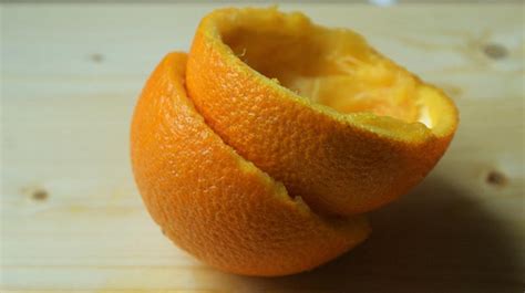 Can Dogs Eat Orange Peels Nutrition Facts And Safety Guide Hepper